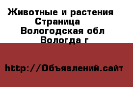  Животные и растения - Страница 4 . Вологодская обл.,Вологда г.